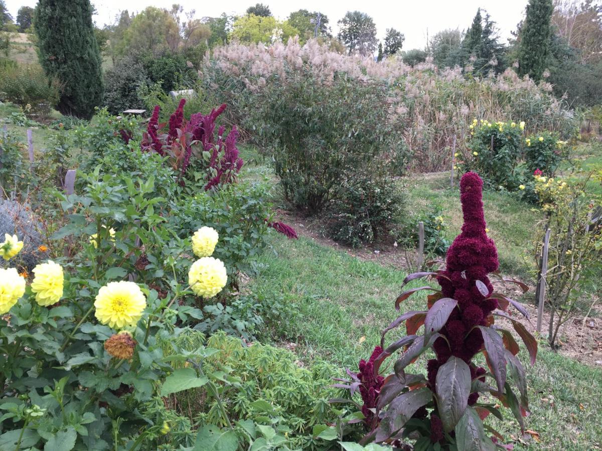 La Source, Vegetarian Guest House Chabeuil Exterior foto