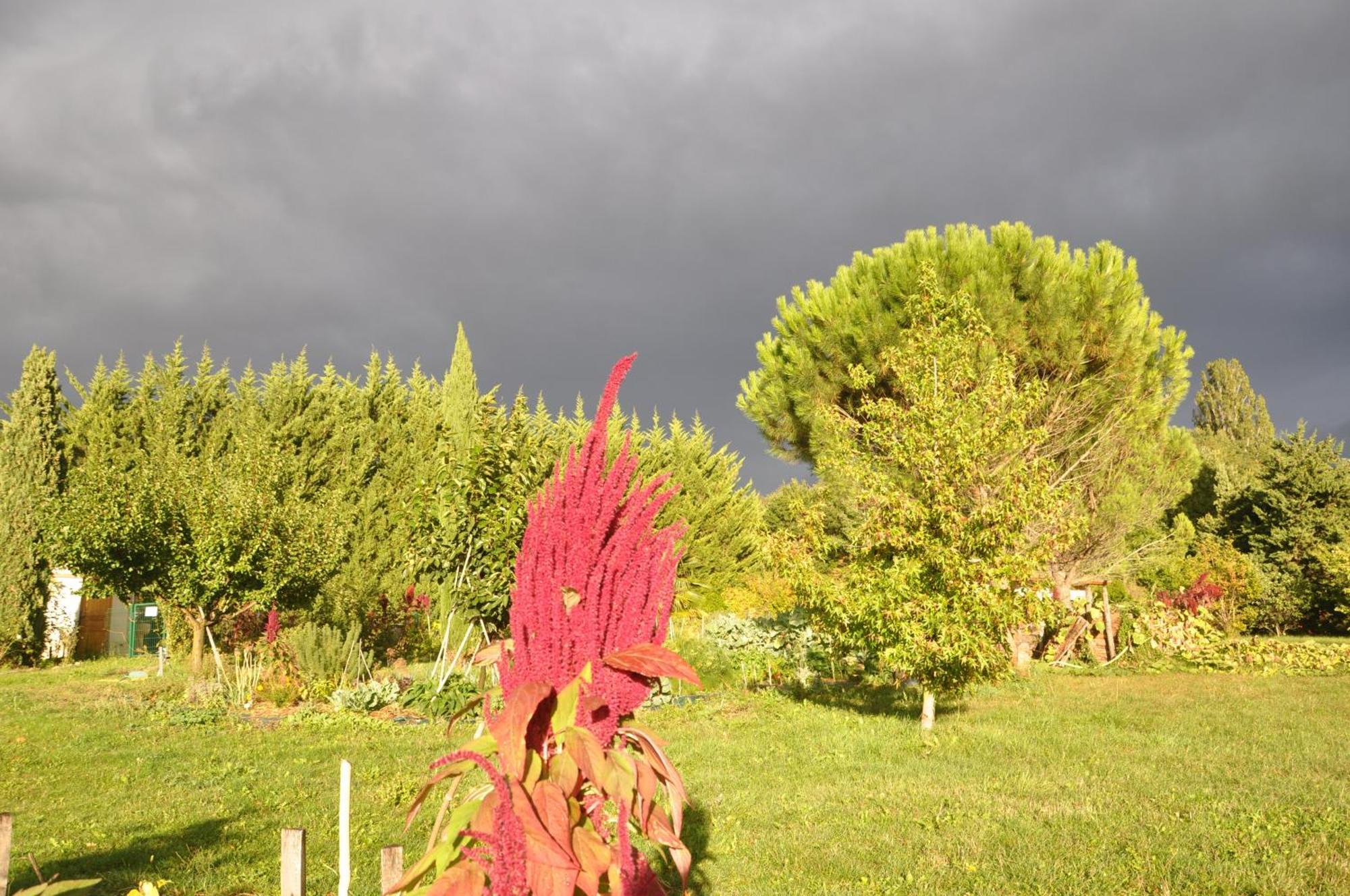 La Source, Vegetarian Guest House Chabeuil Exterior foto