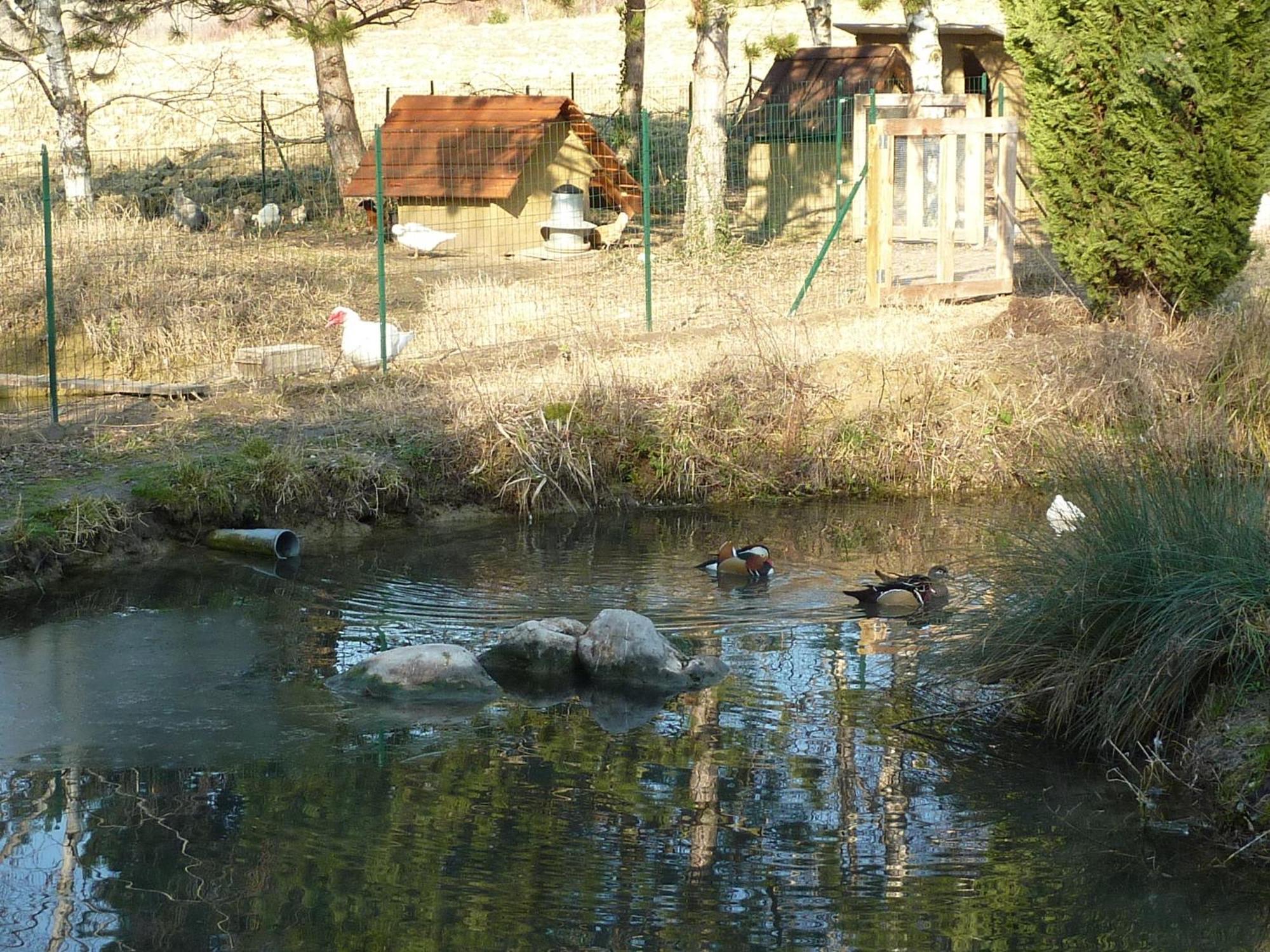 La Source, Vegetarian Guest House Chabeuil Exterior foto