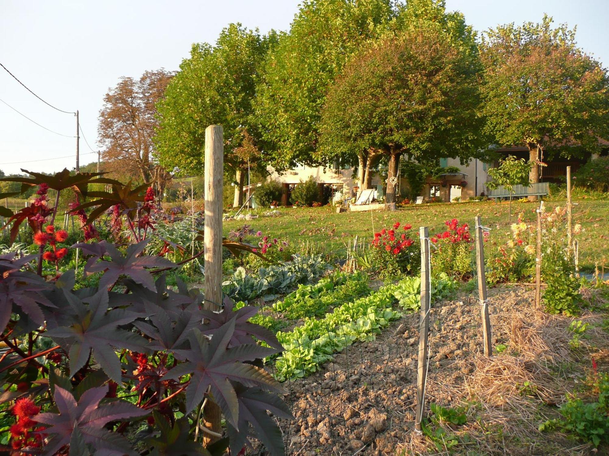 La Source, Vegetarian Guest House Chabeuil Exterior foto